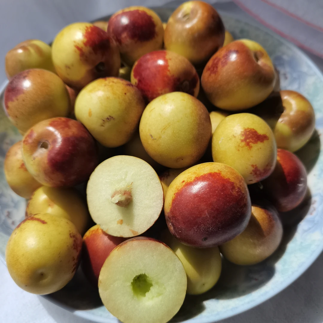 新疆沙漠露天冬枣脆枣净重4斤顺丰包邮