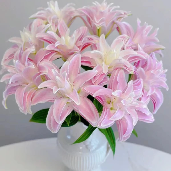 百合【高品质鲜切花草花配草】