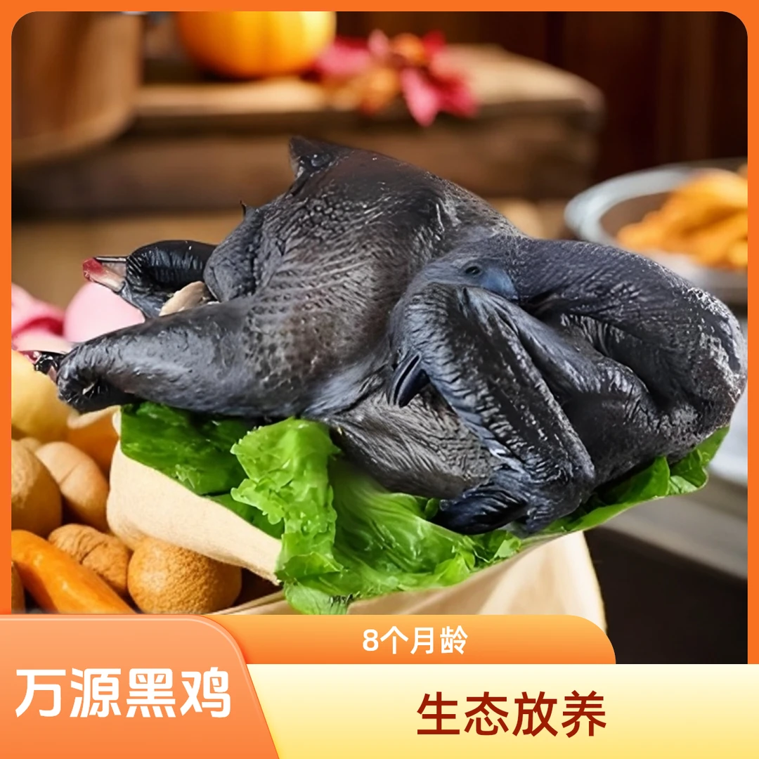 万源旧院黑鸡8个月【生态放养型】（冰鲜鸡）