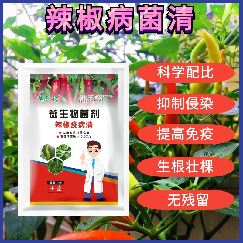 辣椒疫病清微生物菌剂黄叶炭疽枯萎根腐灰霉软腐辣椒专用微生物肥