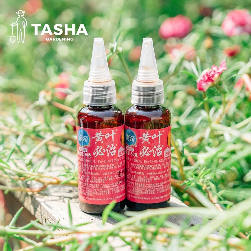 塔莎的花园黄叶必治氨基酸铁微量元素料通用叶面水溶肥料生根剂