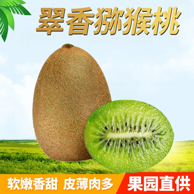 【30枚家庭尝鲜优惠】现摘现发周至翠香猕猴桃 坏果包赔 新鲜猕猴桃
