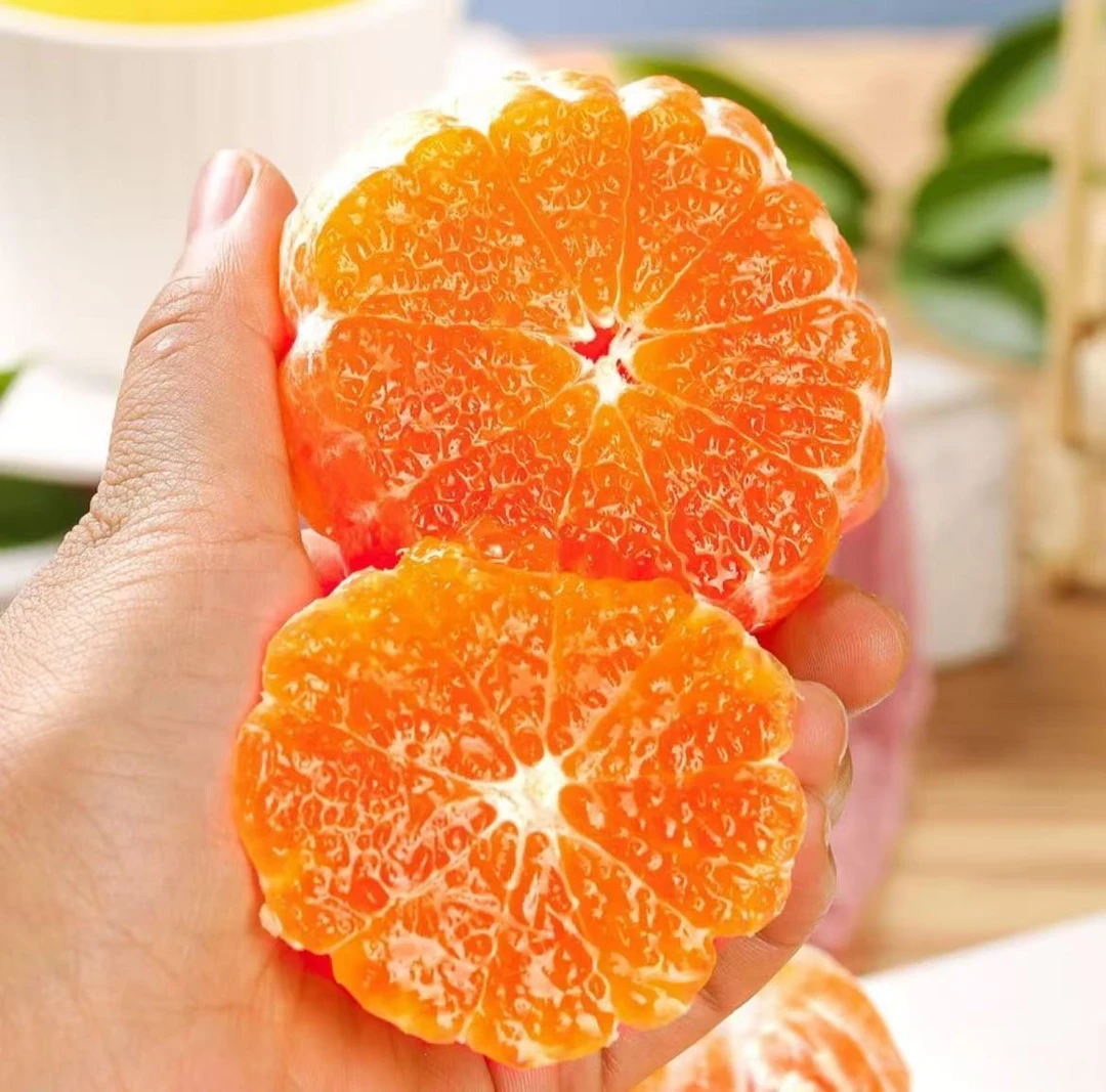 【湖南高山酸甜蜜橘石门蜜橘】金秋之吻自然的味道蜜桔橘子