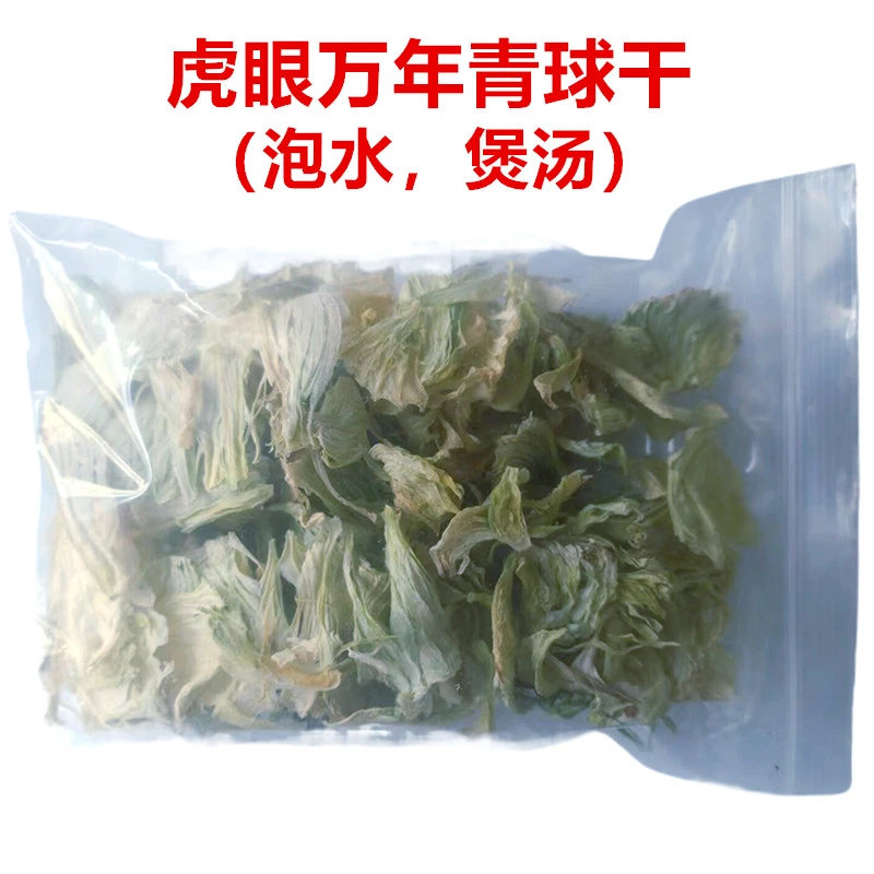 虎眼万年青茶盆栽可食用自然中草药胶囊精选甄选冻干粉球干养殖