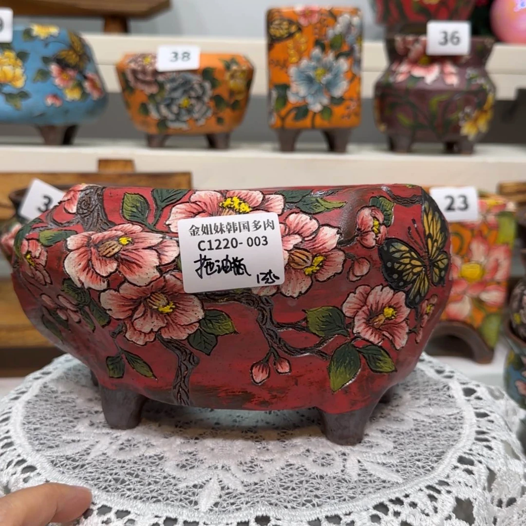 【闪购商品】红陶171cm(含)-200cm(含)c1220-003