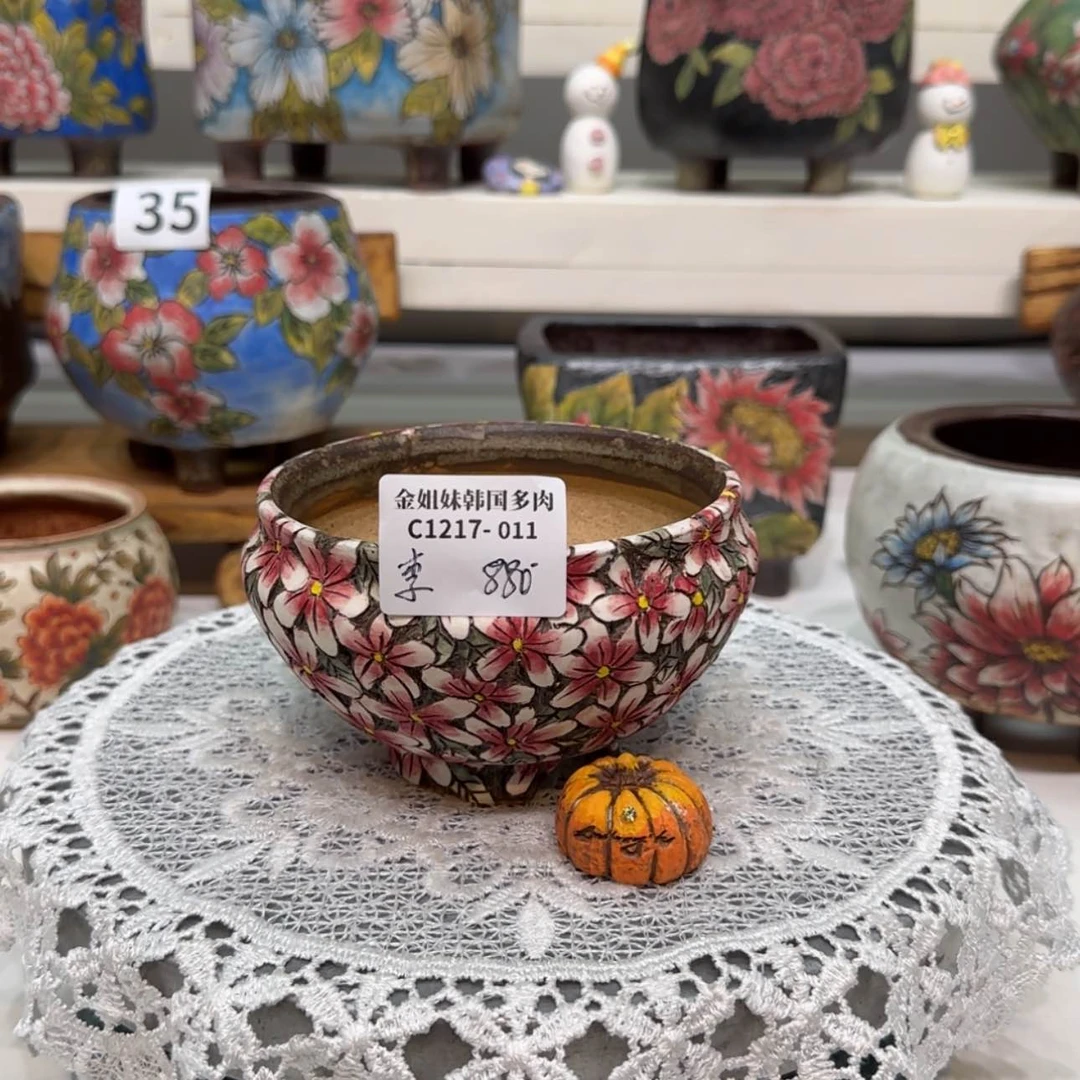 【闪购商品】c1217-011