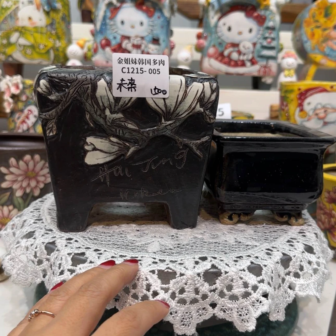 【闪购商品】c1215-005