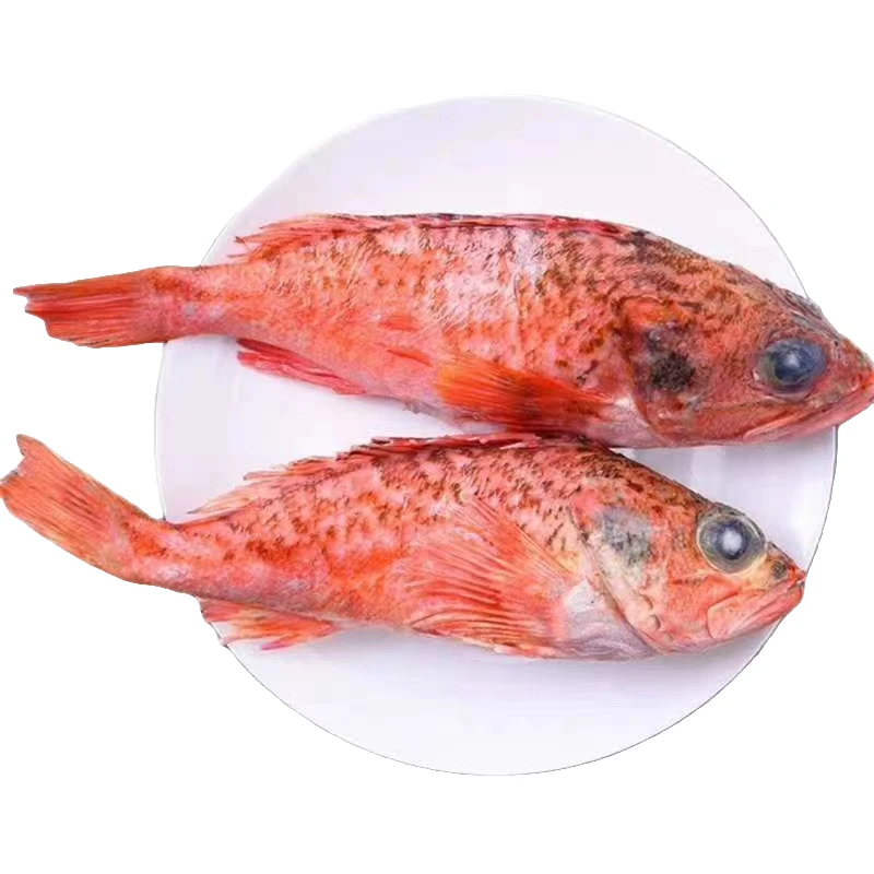 深海天然石九公 虎头斑鱼黑腹鲉鱼海鲜水产味道鲜美速冻京东包邮
