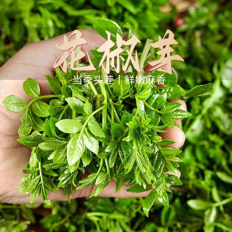 【花椒芽】承德特产椒麻花椒芽老人小孩家人美食300g/袋