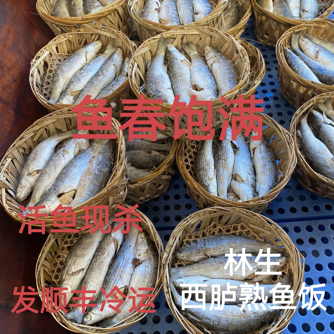 正宗潮汕西胪尖头鱼饭-草鱼饭-各种熟鱼饭-鲜甜美味尖头