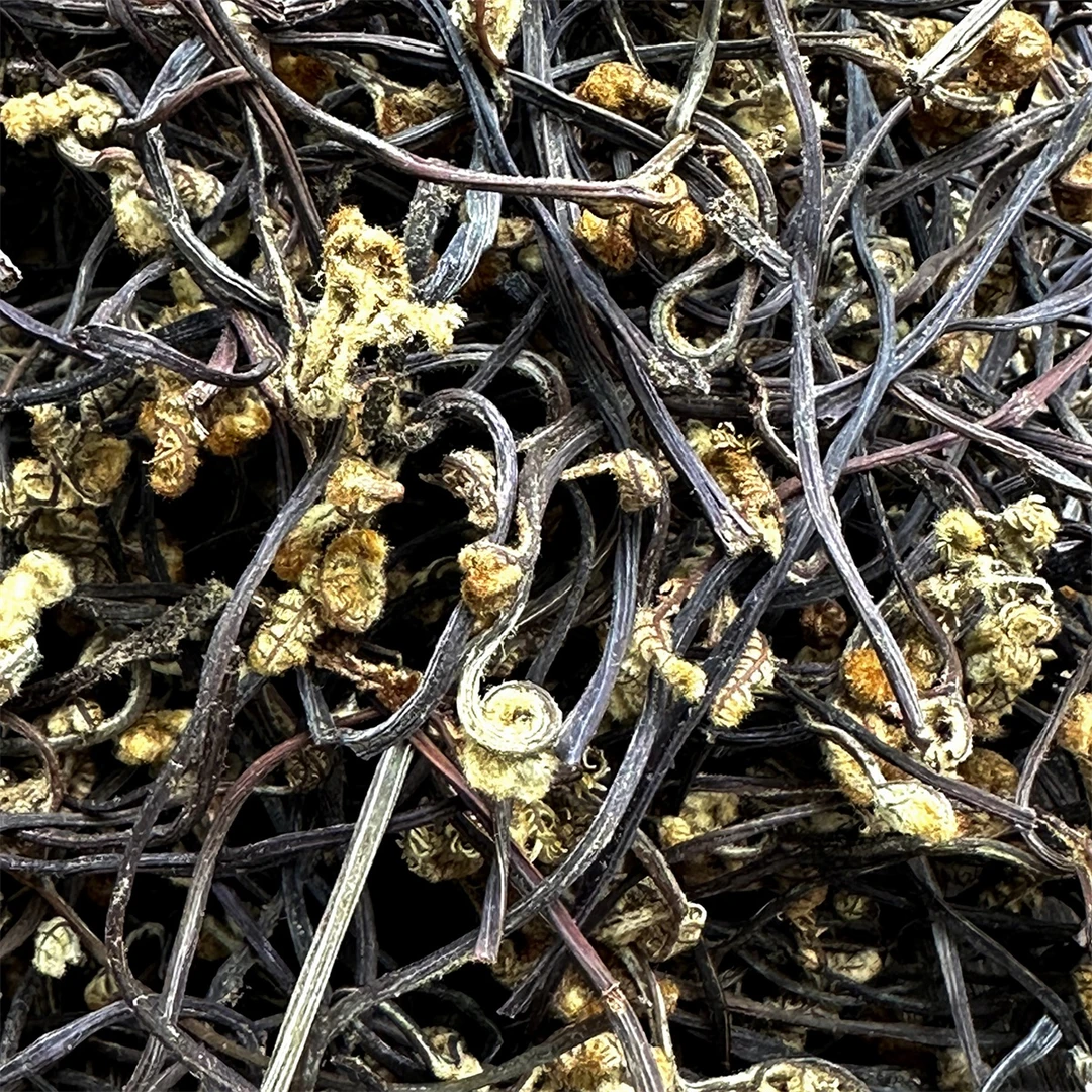 【小鑫】干蕨菜（来自云贵高山野生蕨菜）