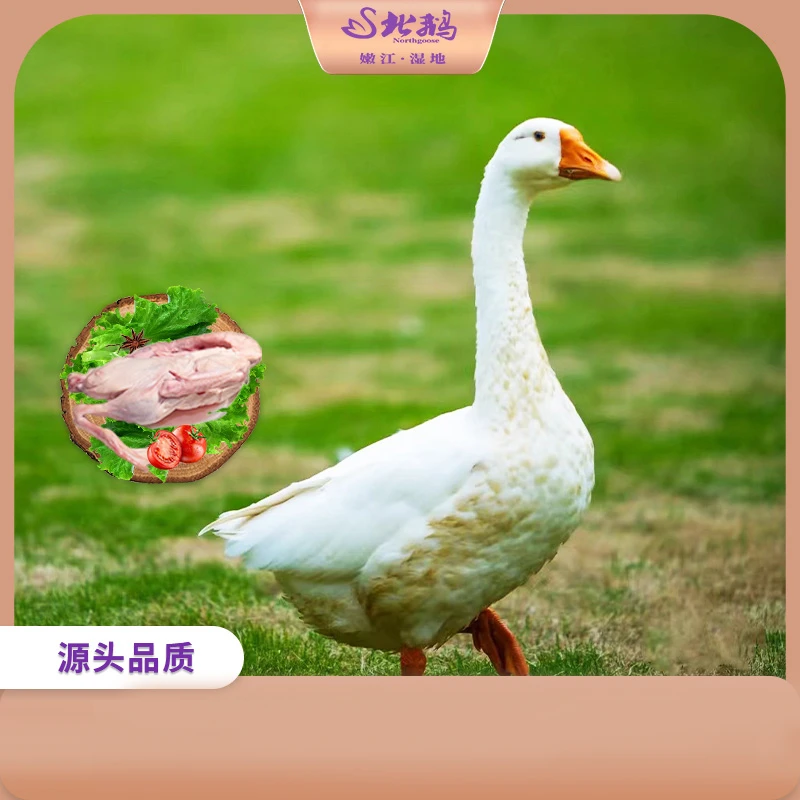 【奎子专属】北鹅 东北大鹅 5.5-6斤 新鲜冷冻鹅肉  生鹅