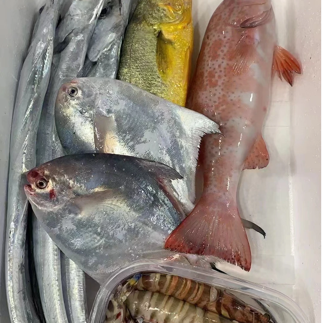 ①现称海鲜，东海海鲜套餐组合，鲳鱼黄鱼带鱼等  3斤起