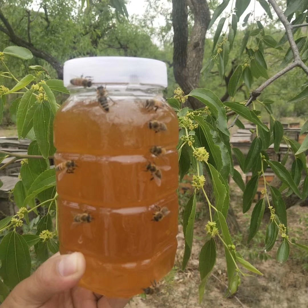 【陕北特产】陕北枣花蜜2斤起包邮