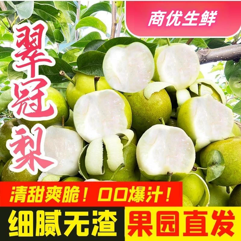 湖北应季水果翠冠梨脆甜多汁皮薄甘甜爽口现摘现发3-8.5斤