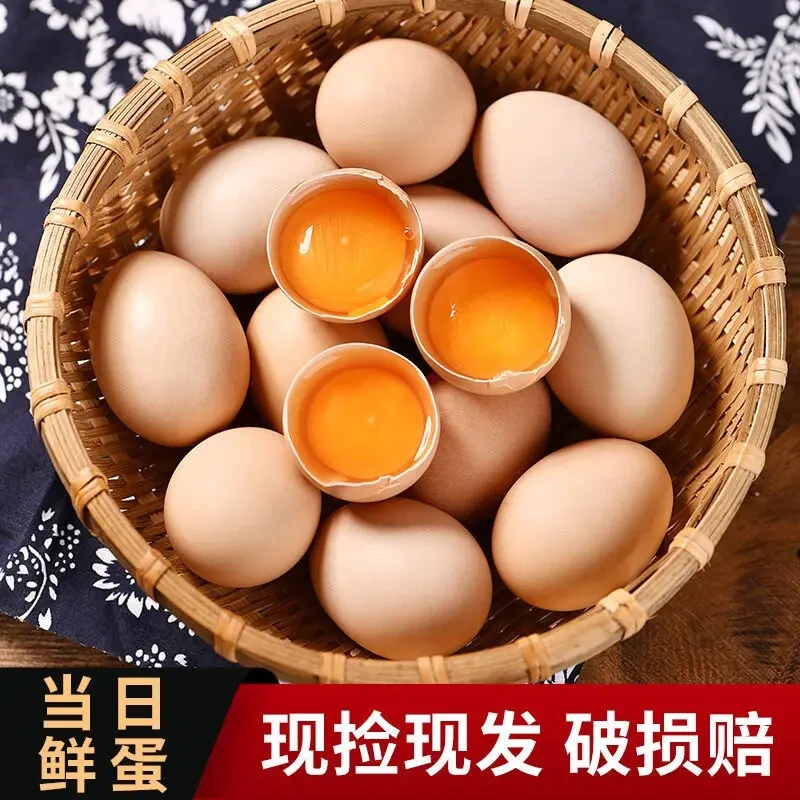 【粉丝福利】农家山林散养枚土鸡蛋营养新鲜月子蛋散养鸡蛋10枚