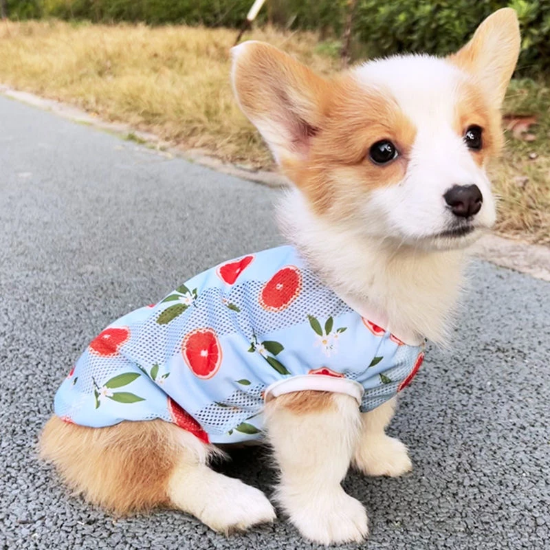 狗狗衣服夏季薄款春夏背心中型犬柴犬泰迪幼犬小可爱透气柯基衣服