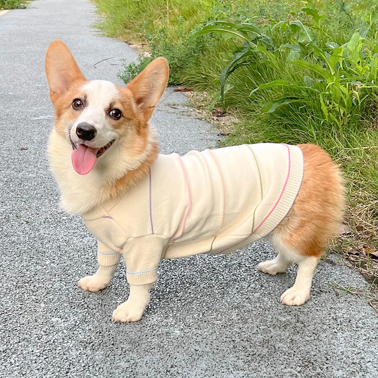 狗狗衣服秋冬季加厚保暖两脚毛衣防掉毛柯基泰迪柴犬中小型犬猫咪