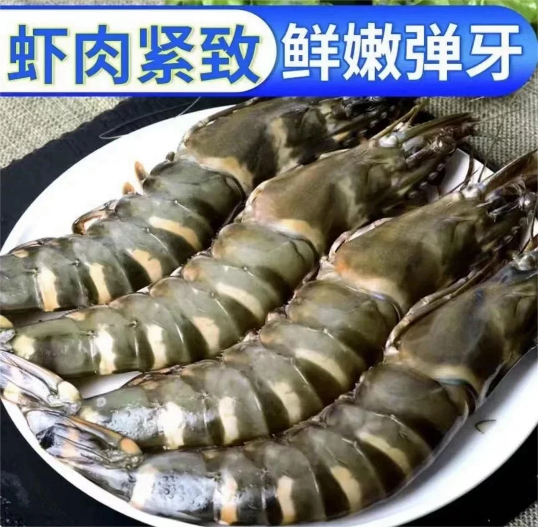 新鲜海捕黑虎虾3斤16-20规格 一斤 8-10只