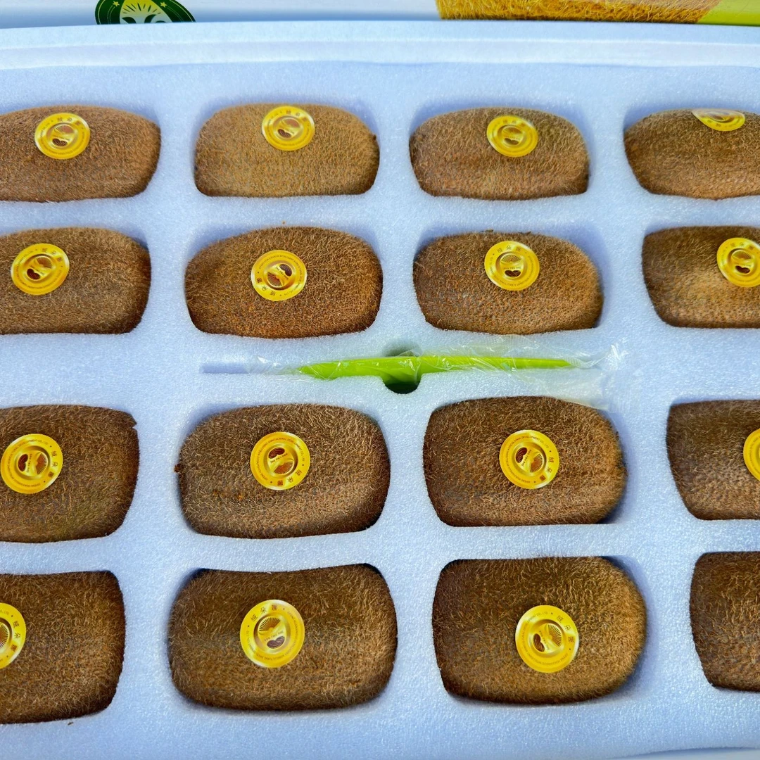 修文精品贵长猕猴桃现摘现发绿心猕猴桃奇异果现新鲜水果当季