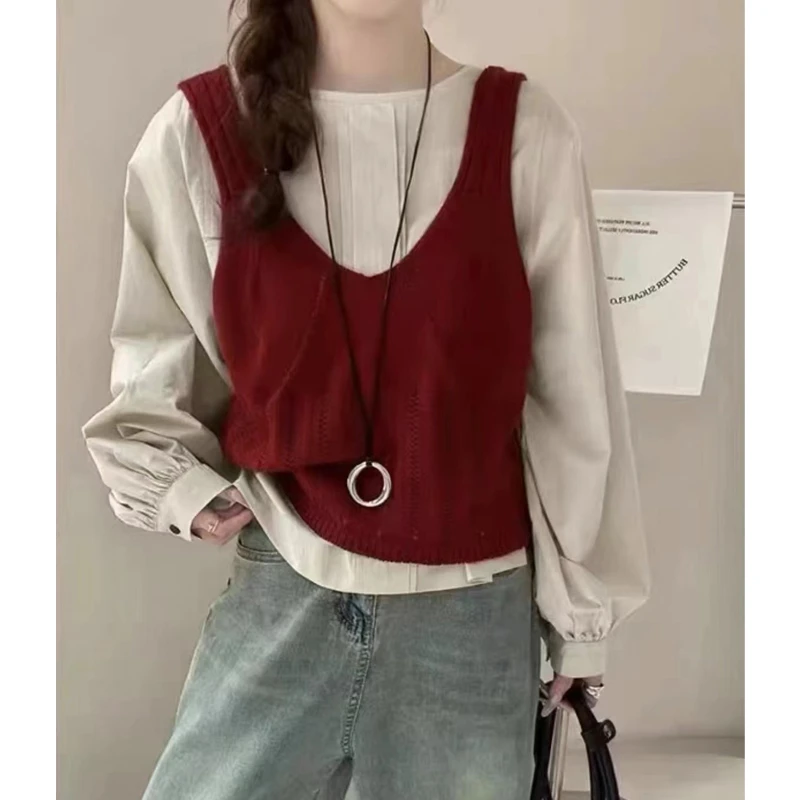 【衣朵设计】韩系高级感气质圆领马甲女2025年秋季宽松小众针织背心