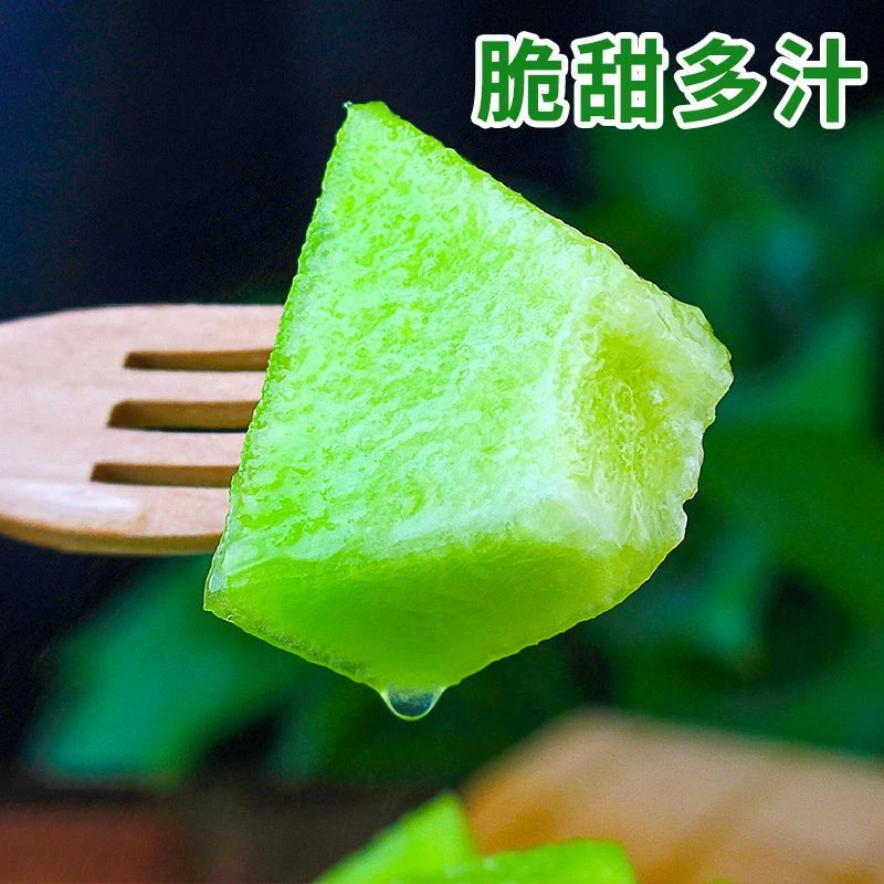 【果园直发】冰淇淋玉菇甜瓜2-9斤装软糯蜜甜新鲜当季水果甜瓜香瓜