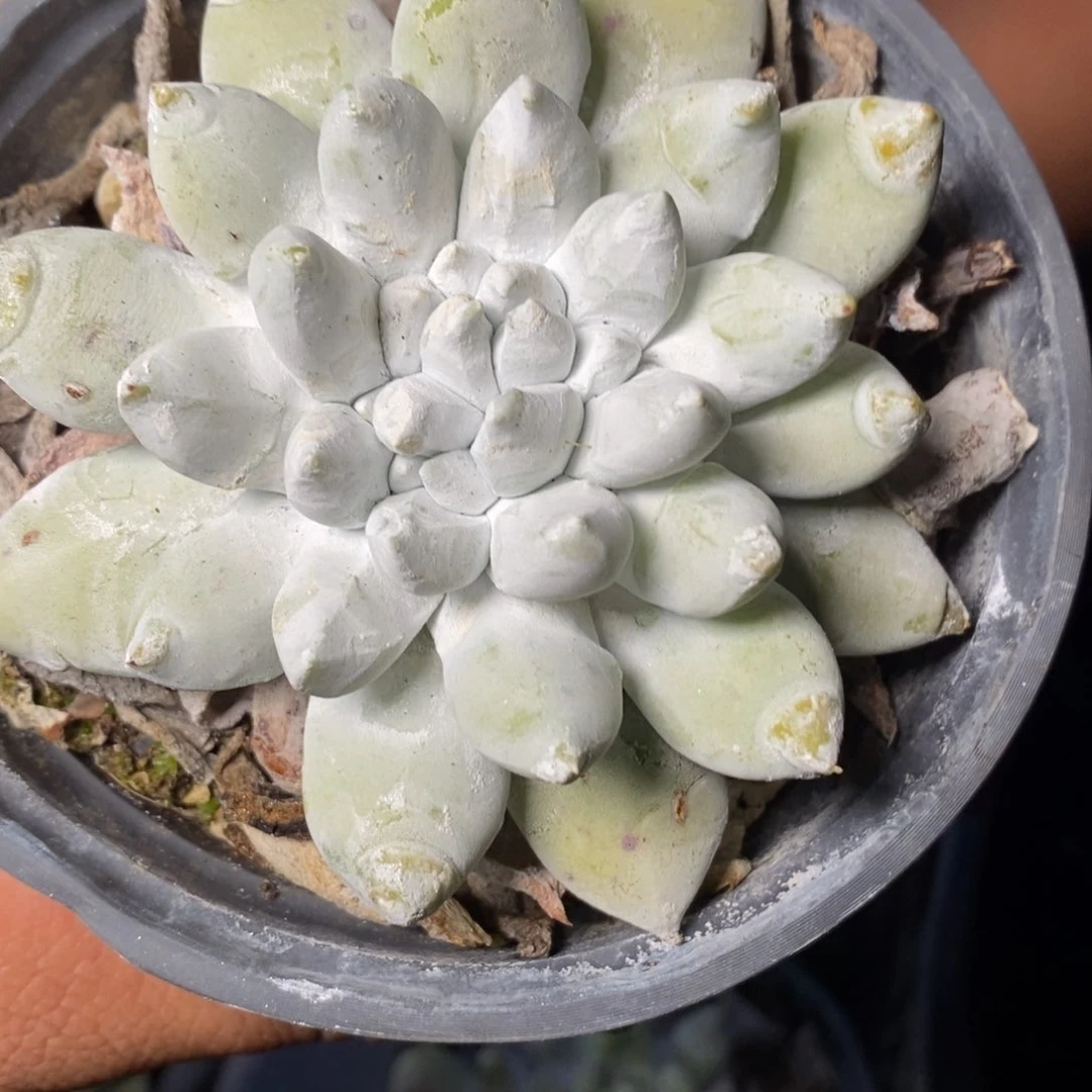 2885哈哈哈哈哈哈