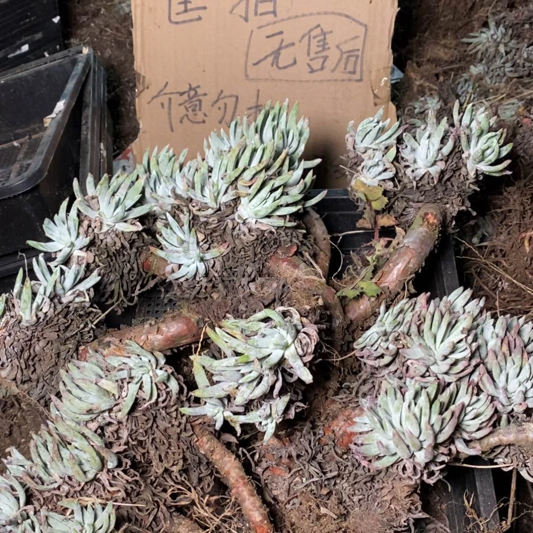 48哈哈哈哈哈哈哈哈哈哈哈哈