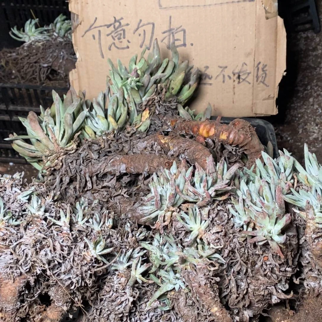 193哈哈哈哈哈哈哈哈哈哈哈哈哈哈