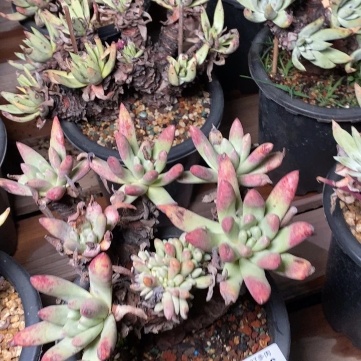 256个哈哈哈哈哈哈哈哈哈哈