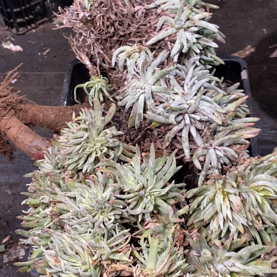 5743哈哈哈哈哈哈哈哈哈哈