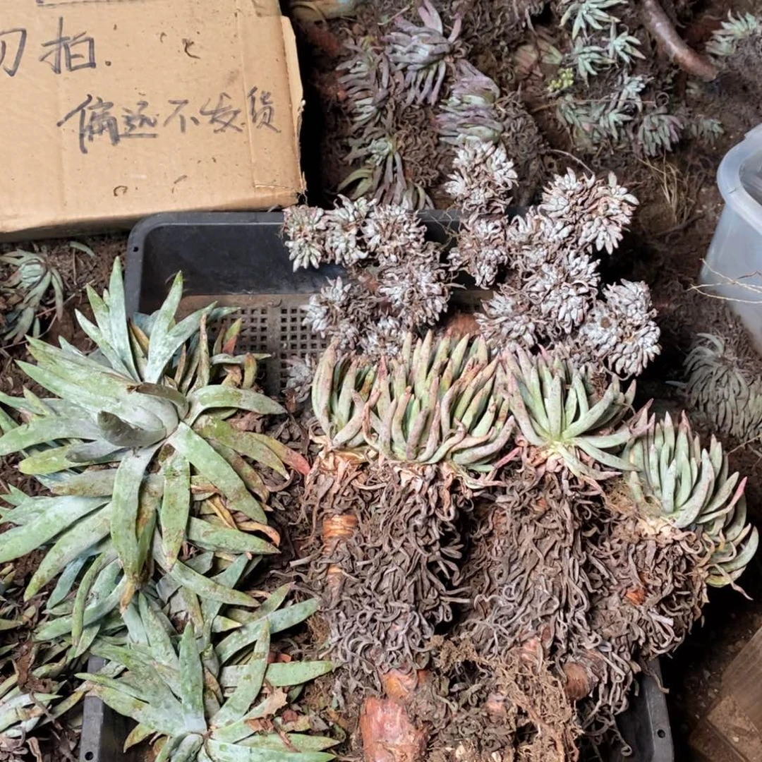 126哈哈哈哈哈哈哈哈哈哈哈哈