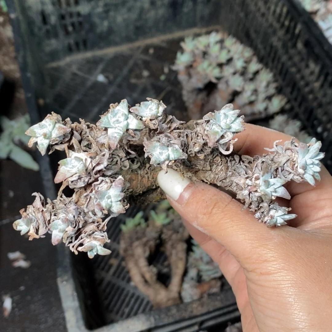 494哈哈哈哈哈哈哈哈哈哈哈哈