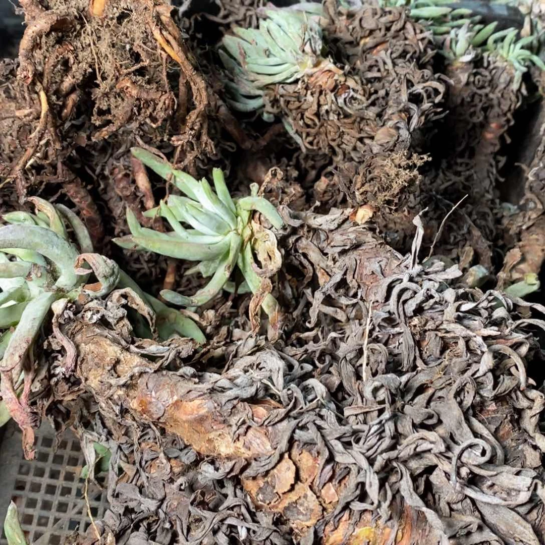 306哈哈哈哈哈哈哈哈哈哈哈哈