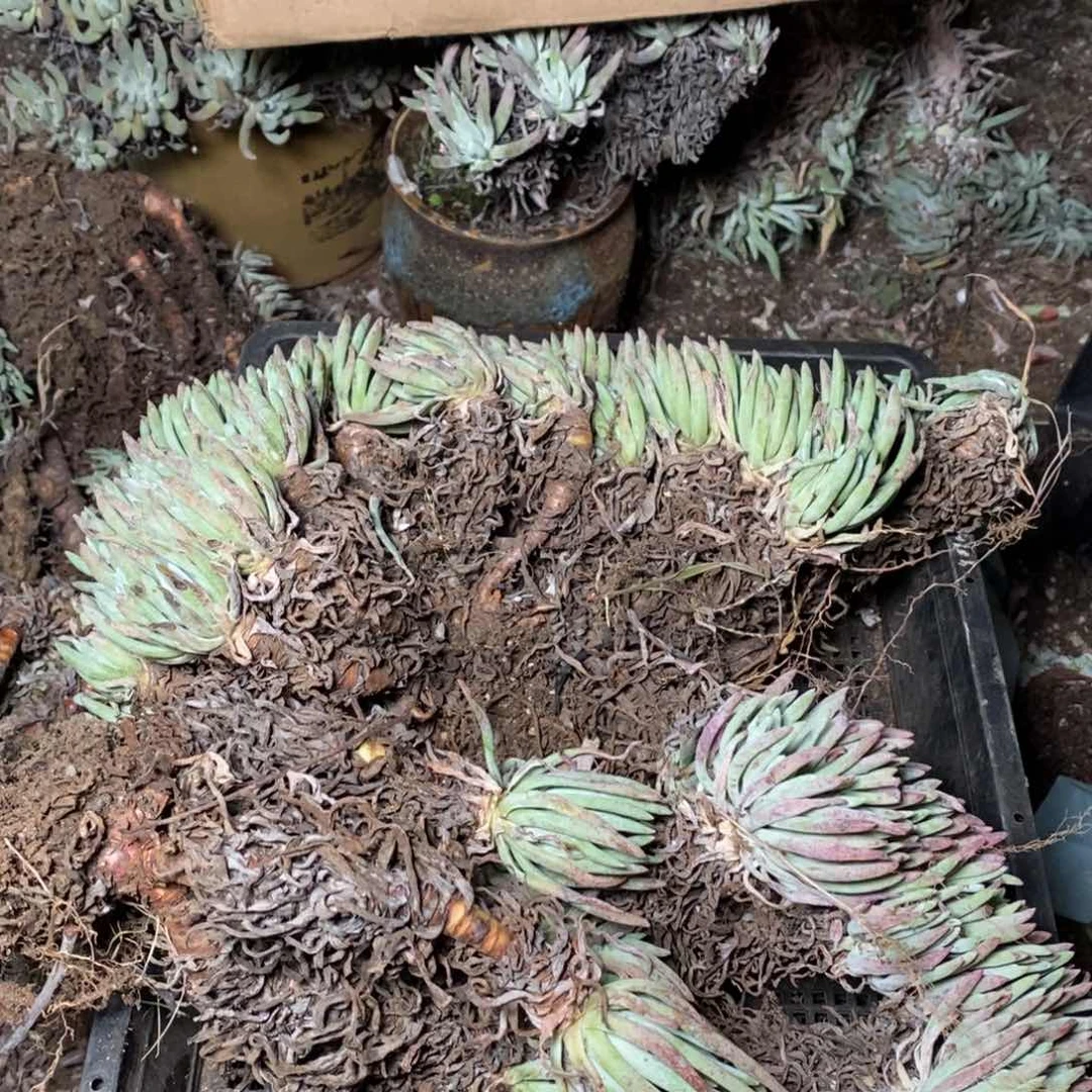 201哈哈哈哈哈哈哈哈哈哈哈哈