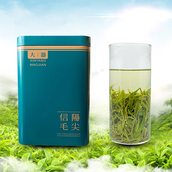 【高山生活茶】2024信阳毛尖核心区浉河港优质高山春茶生活好茶