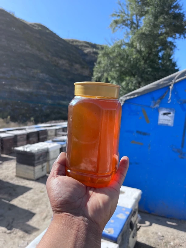 成熟枣花蜂蜜假一罚十