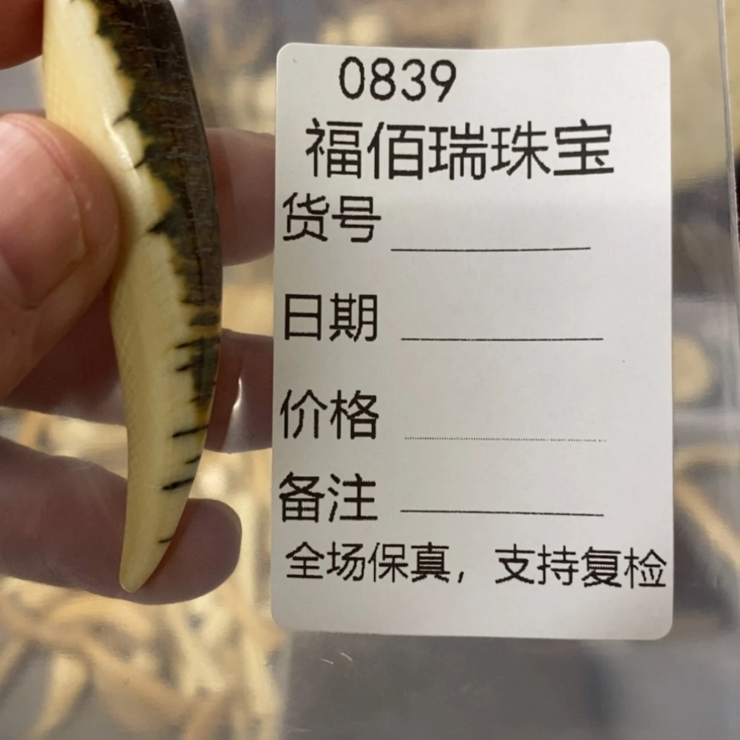 【闪购商品】天然保真猛犸牙根雕