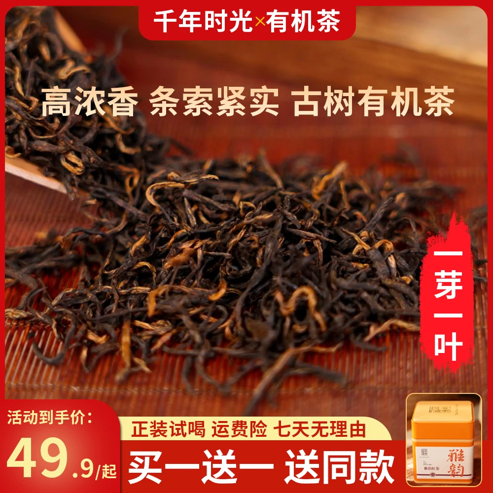 【千年时光】高山红茶新茶冲泡蜜香果香型荒野小种浓香甘甜茶叶罐装