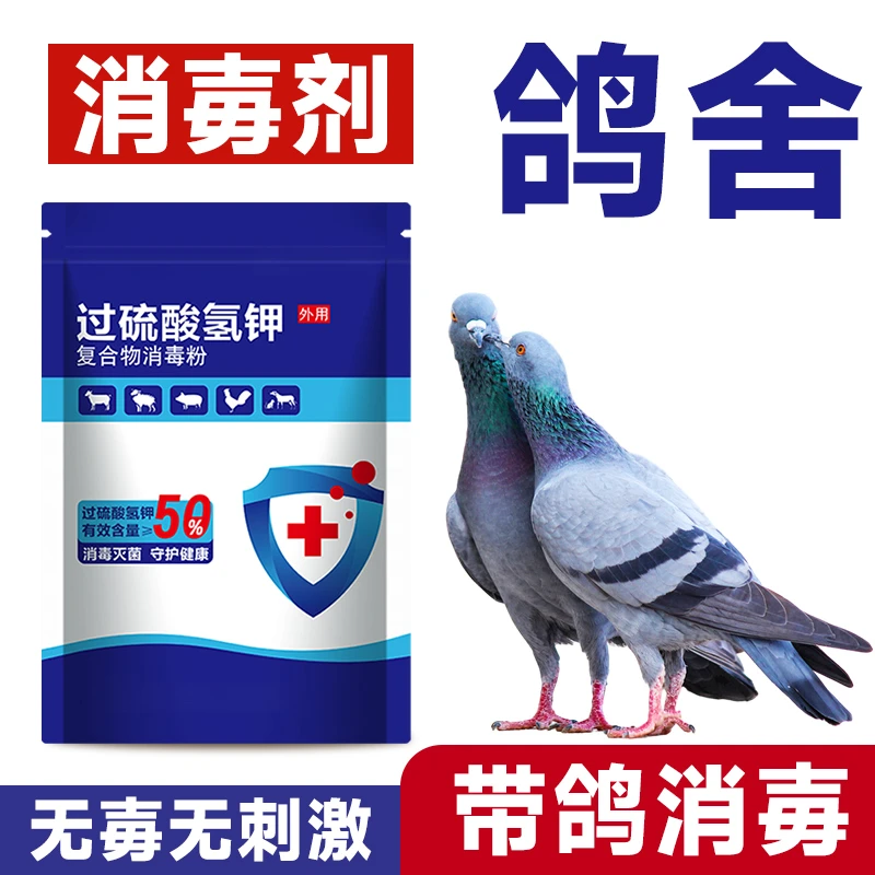 鸽子专用消毒液过硫酸氢钾消毒剂鸽舍消毒鸽子笼消毒液养殖场专用