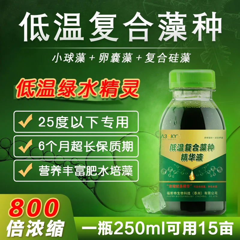 低温藻稀释水产养殖使用小球藻适用稳定调水培藻产品绿色液态优质