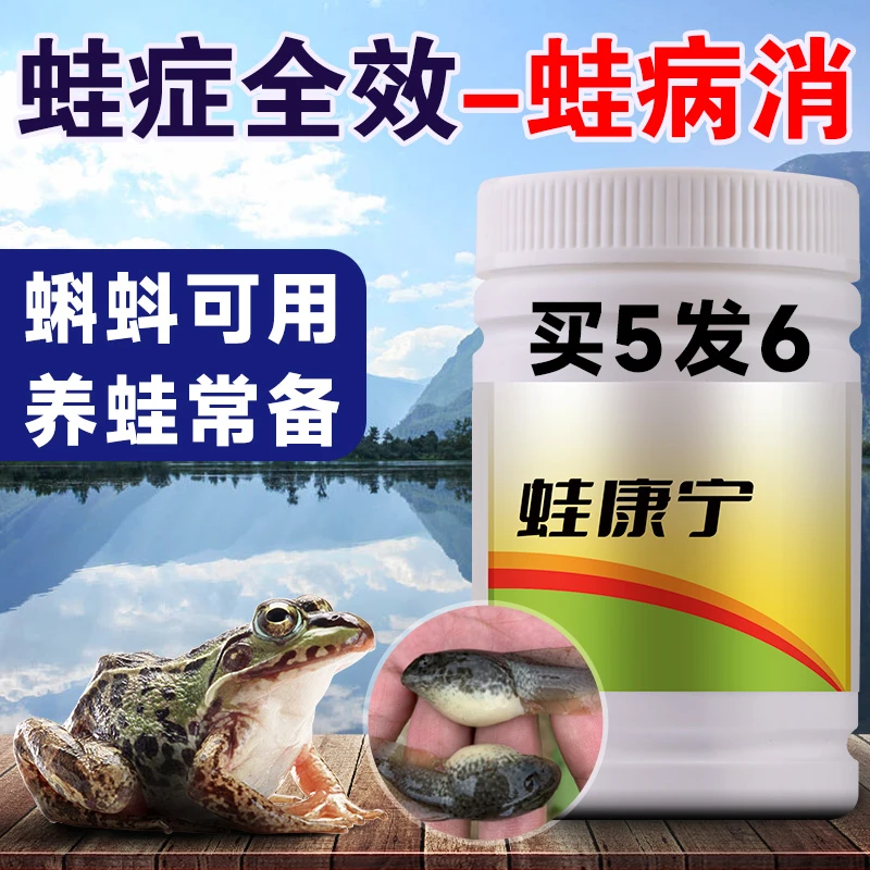 蛙康宁牛蛙养殖蛙用宠物蛙蝌蚪牛蛙专用歪头腐皮白眼红腿肠炎牛蛙