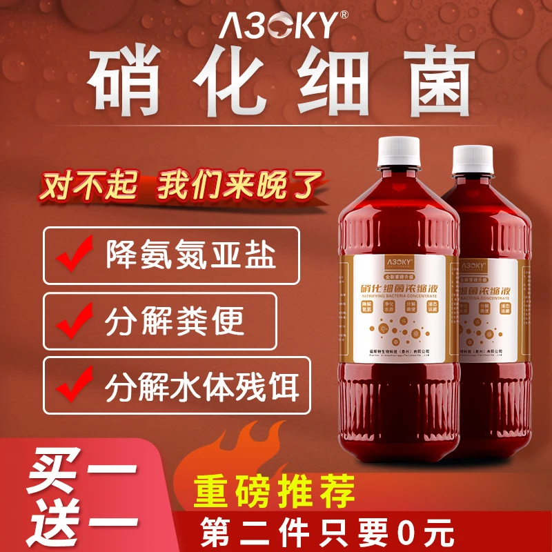【拍一发二】硝化细菌降解氨氮分解粪便水产养殖鱼缸养鱼净水稳定剂
