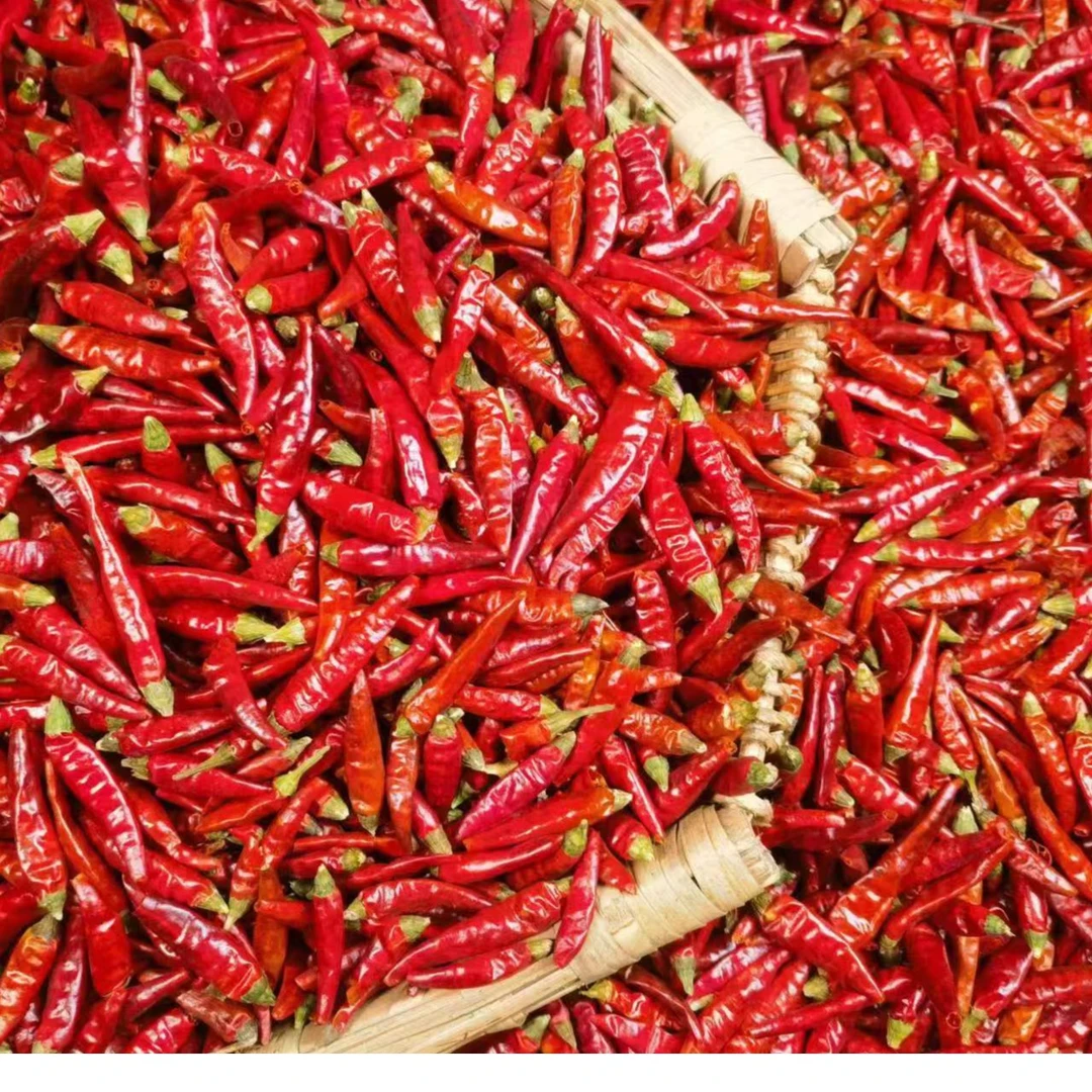 贵州干辣椒本地农家特产农产品干红辣椒200g/500g特辣中辣微辣