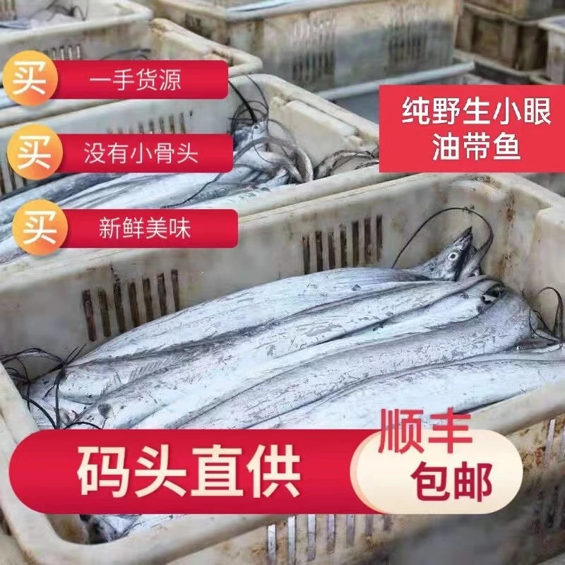 『本地鲜带鱼』新鲜现捕 4～ 8斤 天津发货同城当日送达食用