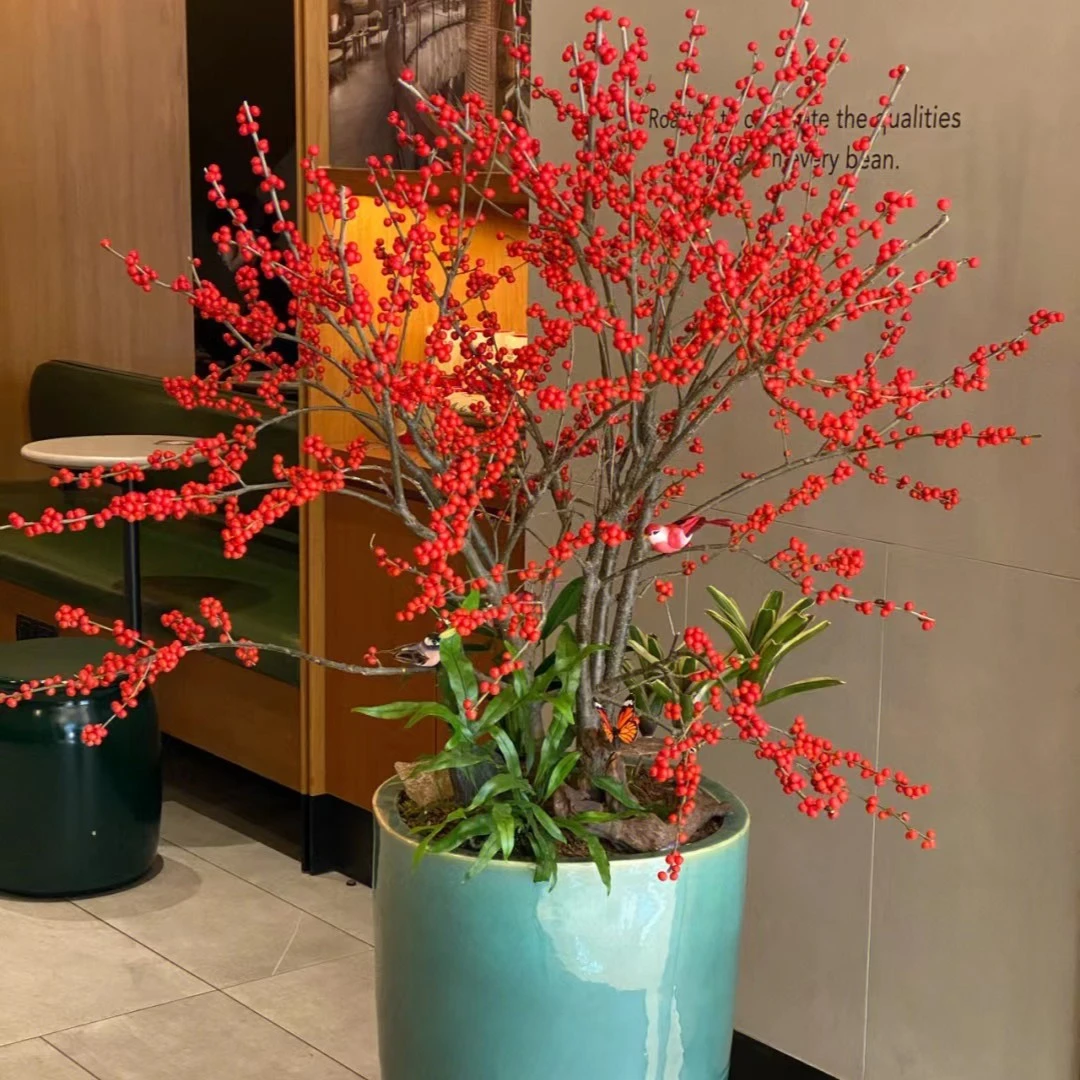 北美冬青红果精品鲜花喜庆美观年宵花材