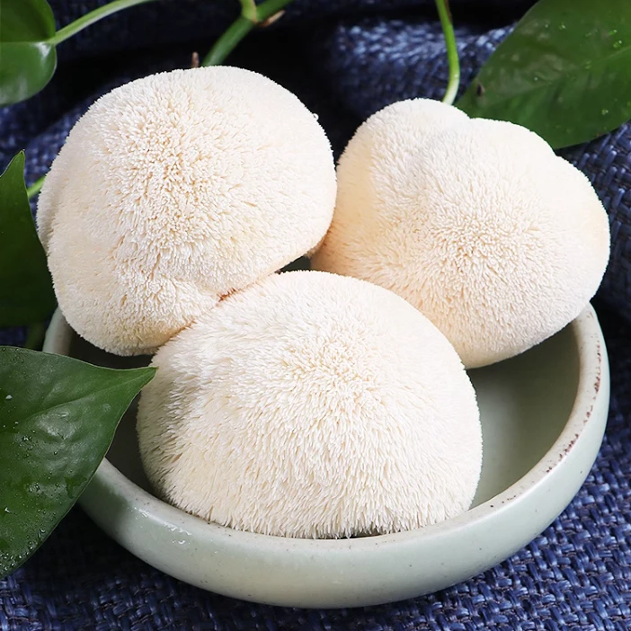 新鲜猴头菇【精挑】顺丰 头茬菇 福建古田直发1000g