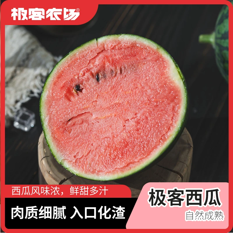 极客手撕西瓜皮薄肉厚清甜多汁冰淇淋新鲜山东西瓜2只4.5斤+京东