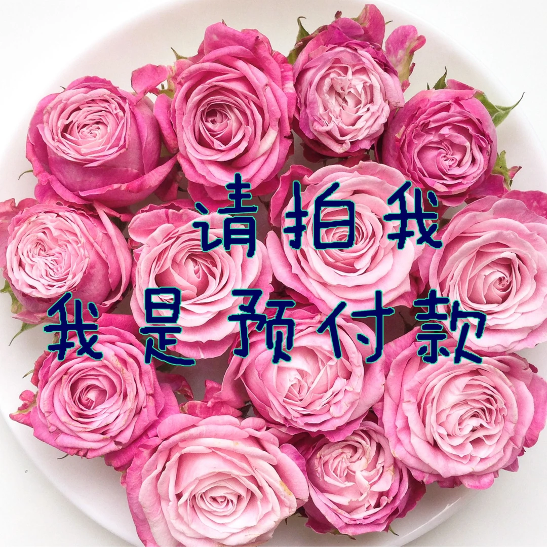 {云上花境}云南昆明鲜花批发全国发货基地直发