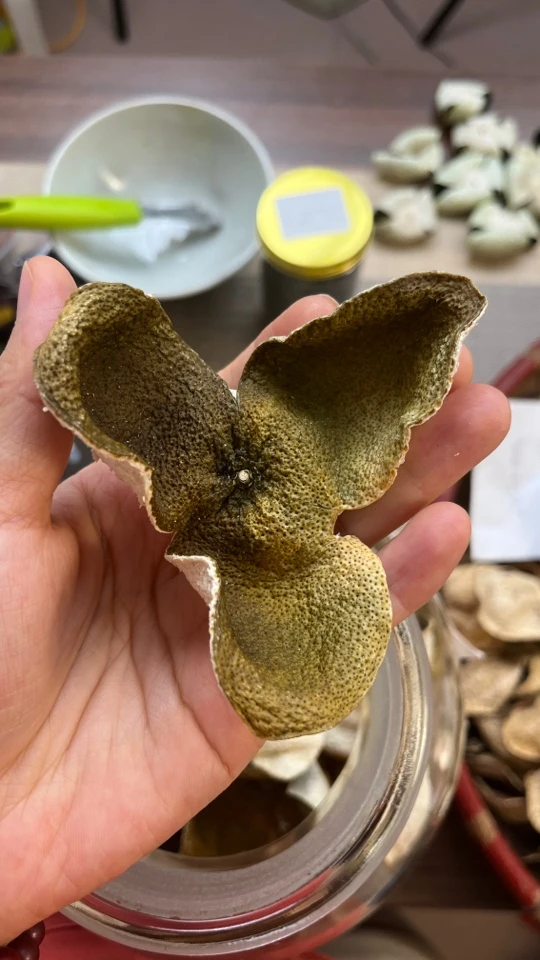 2022年东甲大青皮